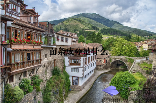 面条成分是什么