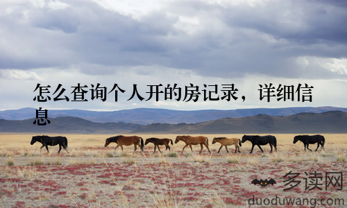 怎么查询个人开的房记录,详细信息