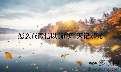 怎么查微信以前的聊天记录呢