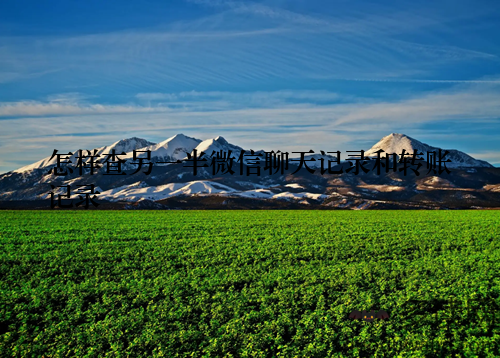 怎样查另一半微信聊天记录和转账记录