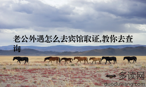 老公外遇怎么去宾馆取证,教你去查询