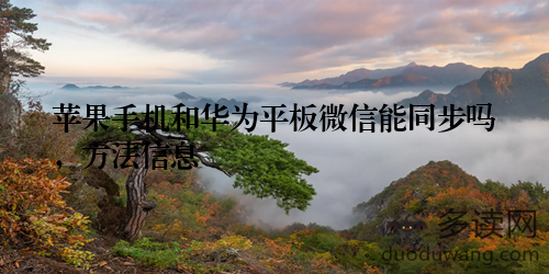 苹果手机和华为平板微信能同步吗，方法信息