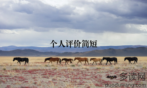 个人评价简短