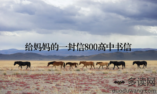 给妈妈的一封信800高中书信