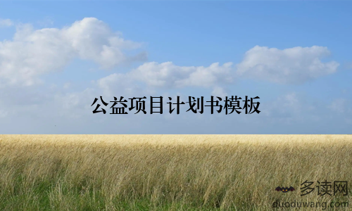 公益项目计划书模板