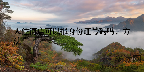 入住酒店可以报身份证号码吗，方法