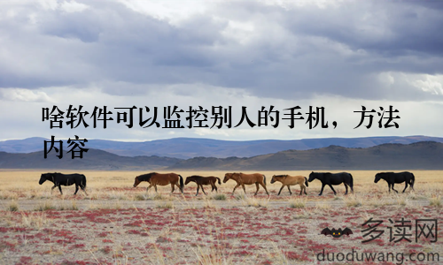 啥软件可以监控别人的手机，方法内容