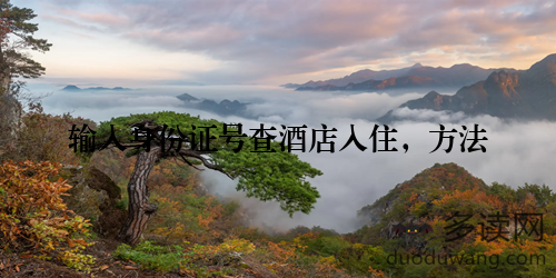 输入身份证号查酒店入住,方法