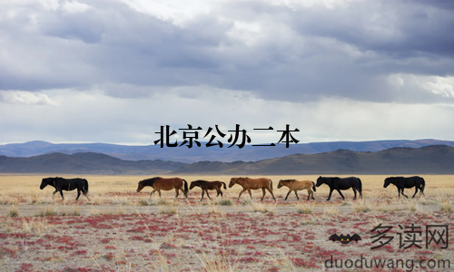 北京公办二本