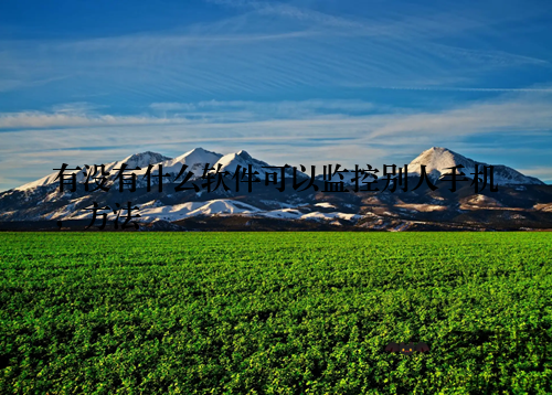 有没有什么软件可以监控别人手机，方法