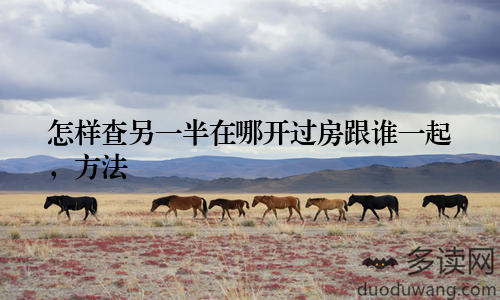 怎样查另一半在哪开过房跟谁一起，方法