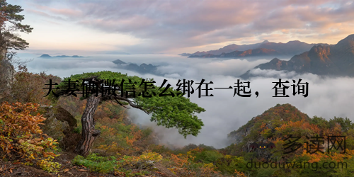 夫妻俩微信怎么绑在一起，查询