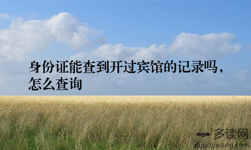 身份证能查到开过宾馆的记录吗，怎么查询