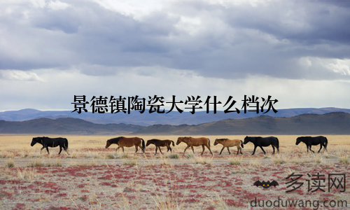 景德镇陶瓷大学什么档次