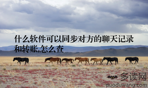 什么软件可以同步对方的聊天记录和转账,怎么查