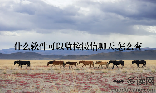 什么软件可以监控微信聊天,怎么查