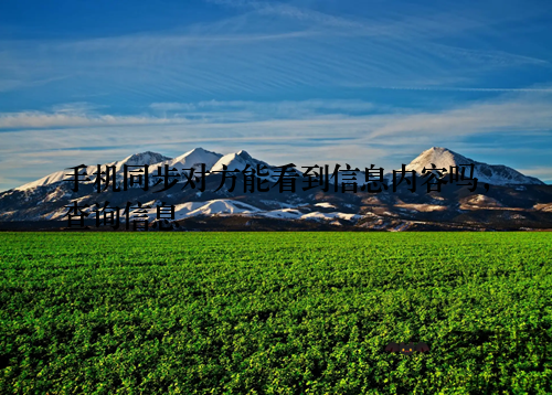 手机同步对方能看到信息内容吗，查询信息