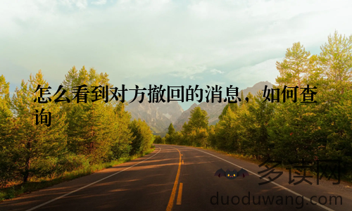 怎么看到对方撤回的消息，如何查询