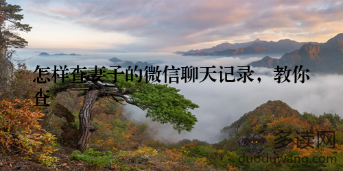 怎样查妻子的微信聊天记录，教你查