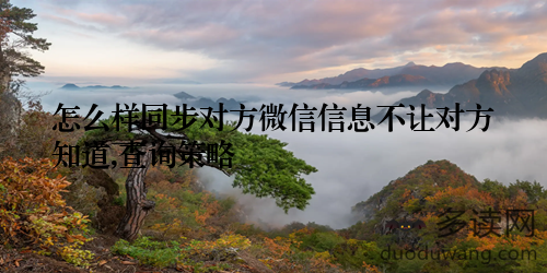 怎么样同步对方微信信息不让对方知道,查询策略