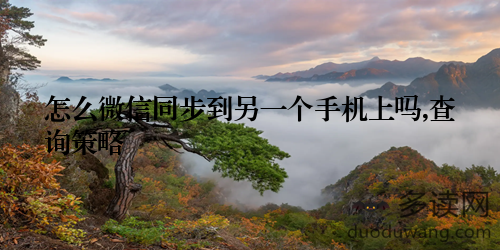 怎么微信同步到另一个手机上吗,查询策略