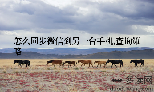 怎么同步微信到另一台手机,查询策略