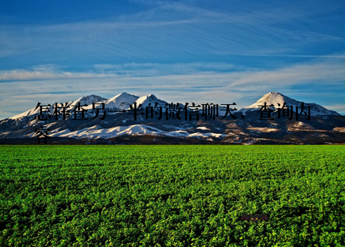 怎样查另一半的微信聊天，查询内容