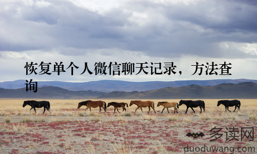 恢复单个人微信聊天记录，方法查询