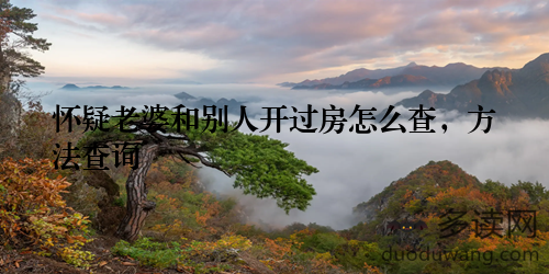 怀疑老婆和别人开过房怎么查，方法查询