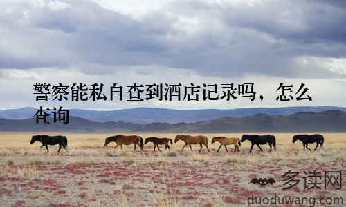 警察能私自查到酒店记录吗，怎么查询