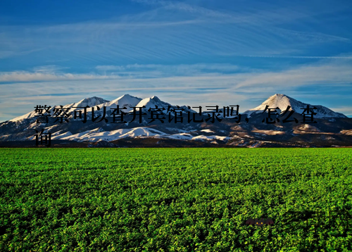 警察可以查开宾馆记录吗，怎么查询