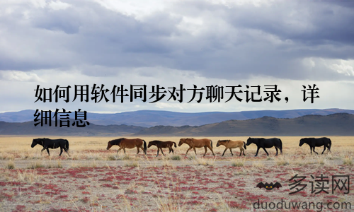 如何用软件同步对方聊天记录，详细信息