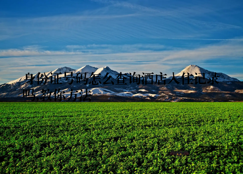 身份证号码怎么查询酒店入住记录吗,教你方法