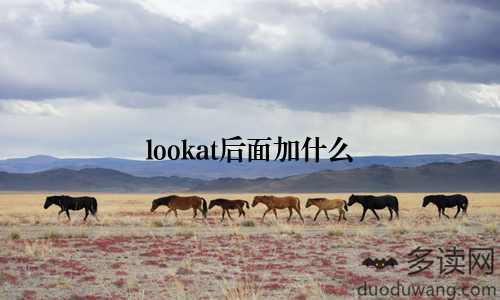 lookat后面加什么
