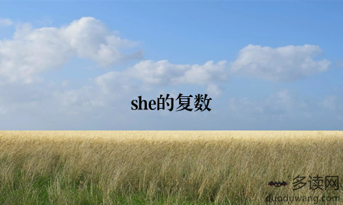 she的复数
