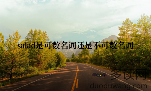 salad是可数名词还是不可数名词