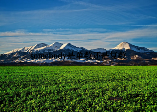 somebody是单数还是复数