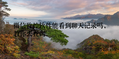 微信监控软件能看到聊天记录吗，教你去查询