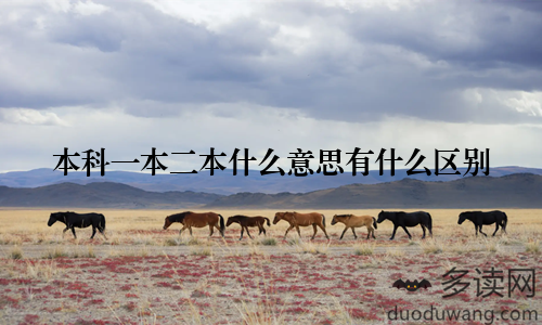 本科一本二本什么意思有什么区别