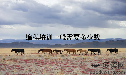 编程培训一般需要多少钱
