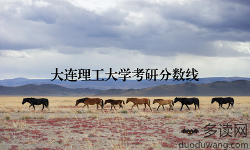 大连理工大学考研分数线