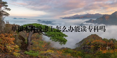 单报本科没考上怎么办能读专科吗