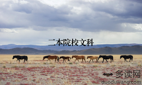 二本院校文科