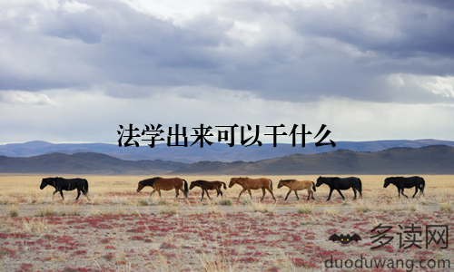 法学出来可以干什么