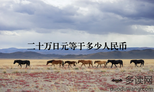二十万日元等于多少人民币