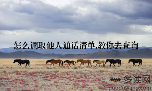 怎么调取他人通话清单,教你去查询
