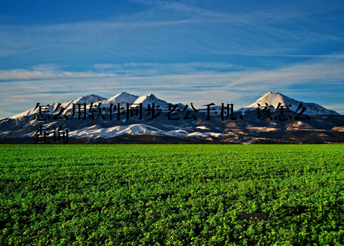 怎么用软件同步老公手机，该怎么查询