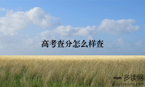 高考查分怎么样查