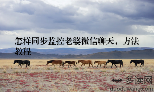 怎样同步监控老婆微信聊天，方法教程