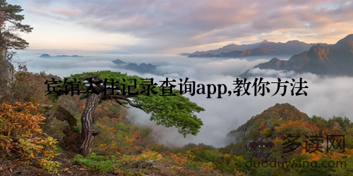 宾馆入住记录查询app,教你方法